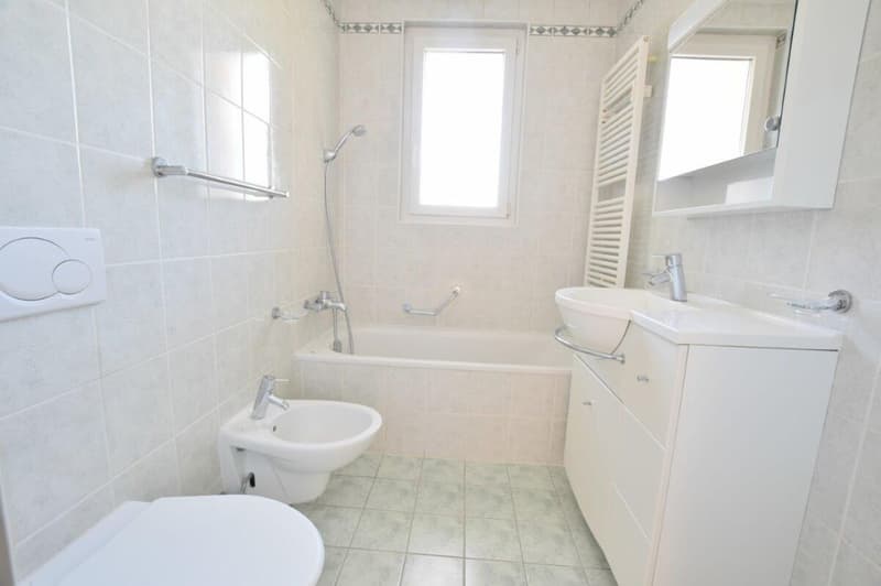 3-room apartment in the municipality of Bellinzona. (5)