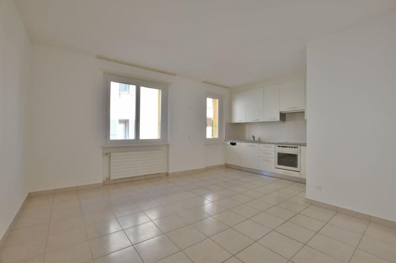 3-room apartment in the municipality of Bellinzona. (1)