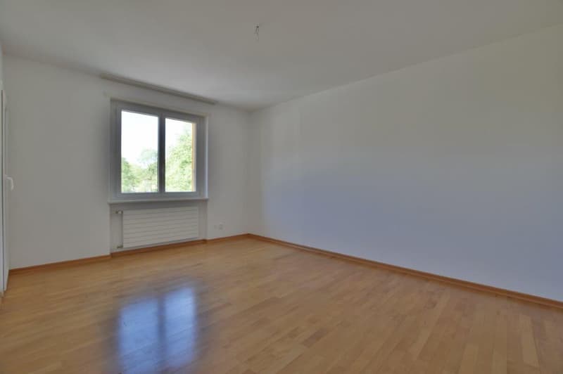 3-room apartment in the municipality of Bellinzona. (2)