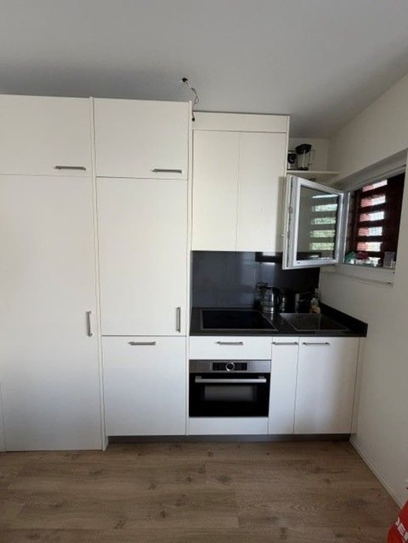 Affittassi appartamento di 1.5 locali con vista (2)