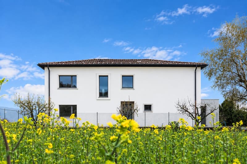 Casa bifamiliare totalmente ristrutturata con ampio terreno a Ligornetto (3)