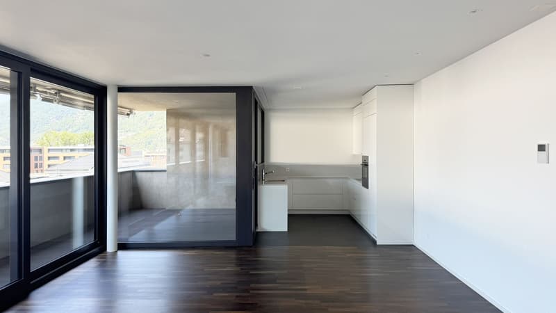 Bellinzona centro – Prestigioso appartamento duplex di 5.5 locali (11)