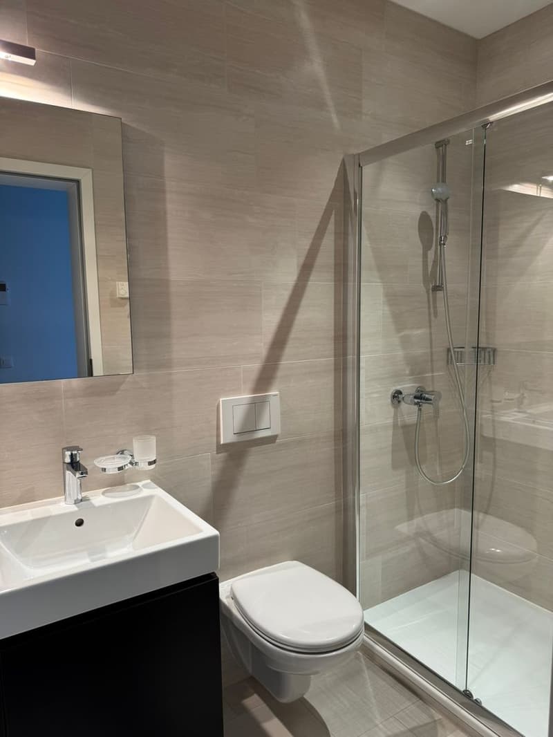Bellinzona centro – Prestigioso appartamento duplex di 5.5 locali (6)