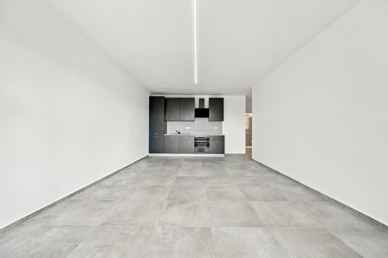 Appartamento ristrutturato in residenza con piscina (4)