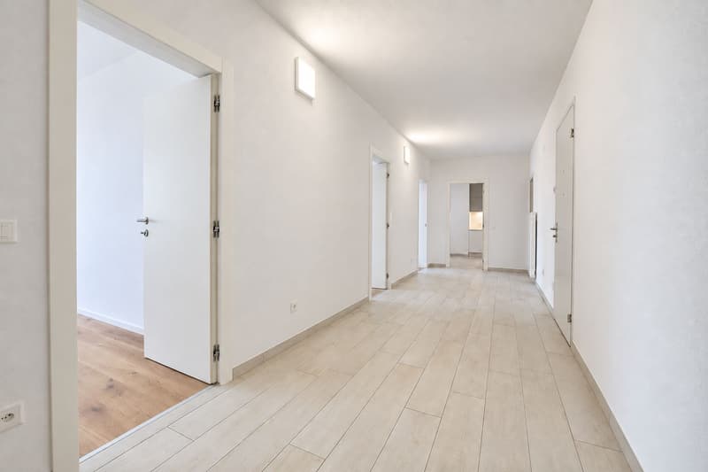 Wunderschöne, komplett renovierte 3.5-Zimmer-Wohnung (8)