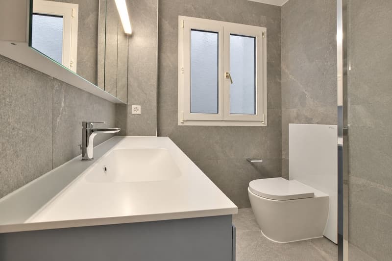 Wunderschöne, komplett renovierte 3.5-Zimmer-Wohnung (11)