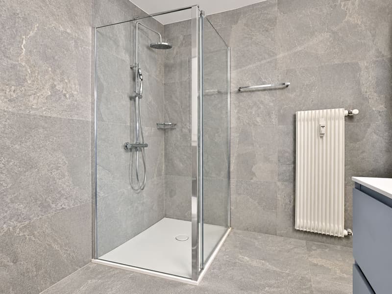 Wunderschöne, komplett renovierte 3.5-Zimmer-Wohnung (12)