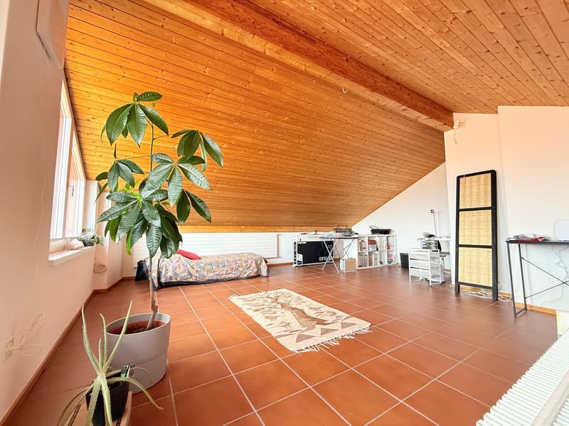 Affascinante appartamento duplex di 4 locali immerso nella tranquillità di Breno (8)