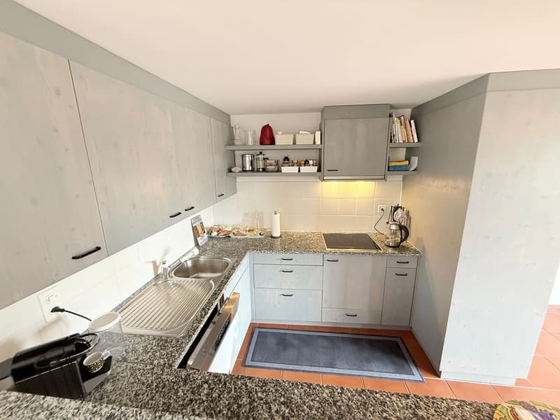 Affascinante appartamento duplex di 4 locali immerso nella tranquillità di Breno (2)