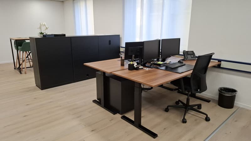 Flexible Office Space & Co-working Desks for Rent in a Prime Lakeside Location – 1 Minute from the FFS Train Station (2)