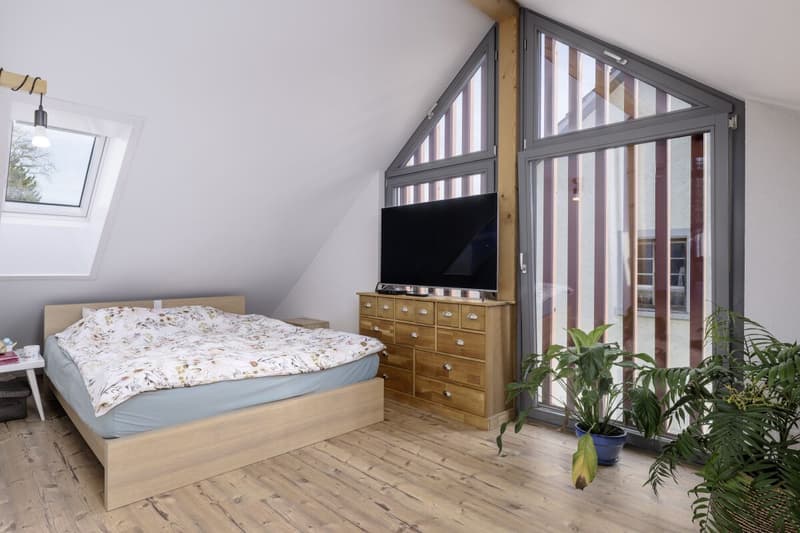 Modernes Einfamilienhaus im Grünen mit Einliegerwohnung (3)
