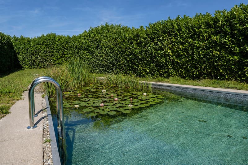 Traumvilla mit Naturpool und Weitsicht (9)
