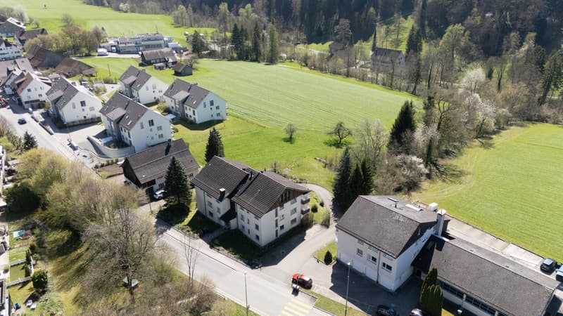 Attractive rental property with stable tenant mix (2)