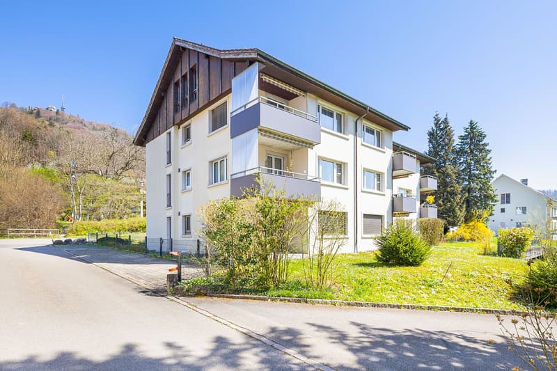 Attractive rental property with stable tenant mix (6)