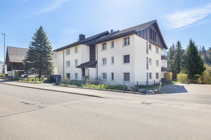 Attractive rental property with stable tenant mix (7)