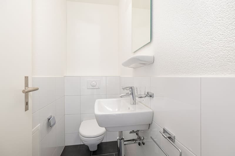 Lichtdurchflutete 4.5 Zimmer-Maisonettewohnung mit Galerie und viel Raum (10)