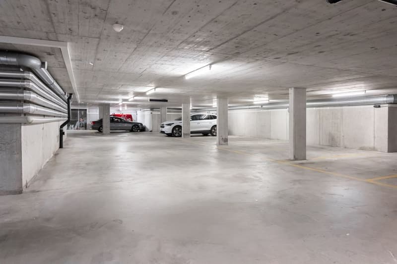 Lichtdurchflutete 4.5 Zimmer-Maisonettewohnung mit Galerie und viel Raum (12)