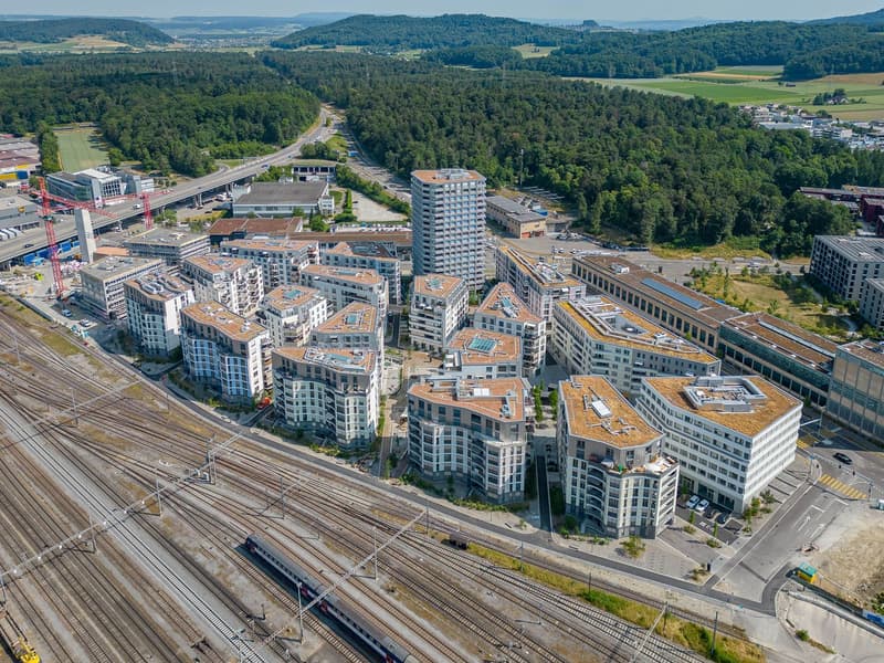 Gewerbefläche mit Potential im Glasi-Areal Bülach (1)
