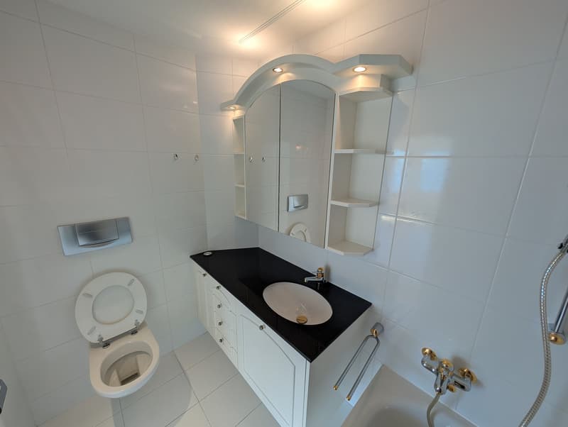 Traumhafte 4.5-Zimmer-Whg. in Brunnen mit Panoramaaussicht auf den Vierwaldstättersee" (reserviert) (9)