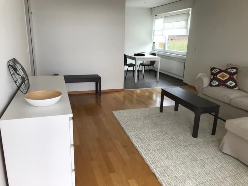 (Reserviert) 2.5 Zimmer Whg. mit Balkon und toller Seesicht in Feusisberg (6)