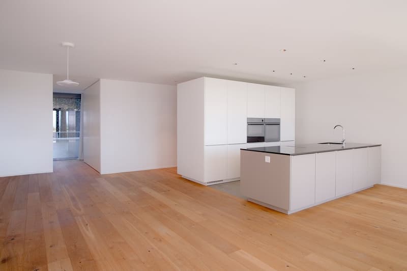 Panorama, Weite, Eleganz – 3.5-Zi-Wohnung mit Sicht in Uetikon am See (7)