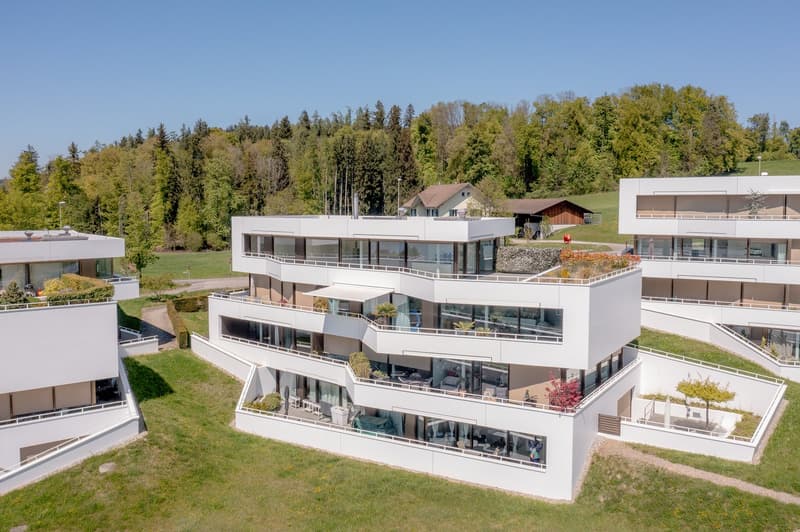 Hochwertige 3.5-Zi-Wohnung mit Panorama-Sicht in Uetikon am See (2)