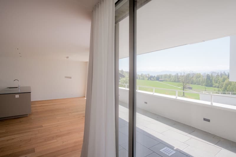 Hochwertige 3.5-Zi-Wohnung mit Panorama-Sicht in Uetikon am See (7)