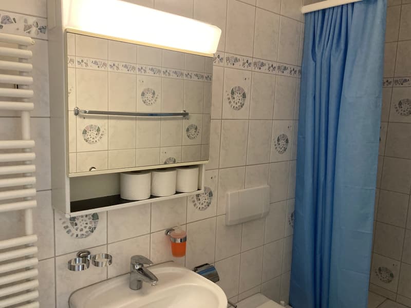 Möbliertes 1-Zimmer-Apartment mit Balkon und See-/Bergblick in Gersau (12)