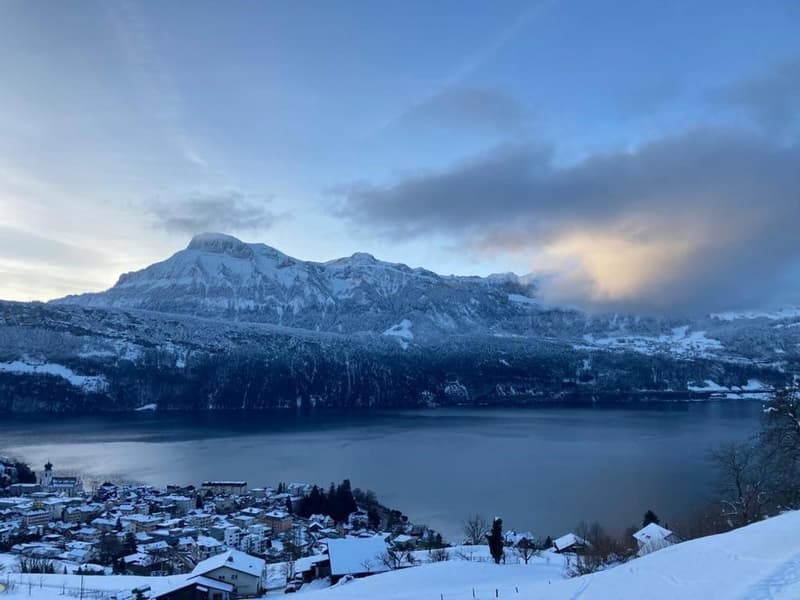 Möbliertes 1-Zimmer-Apartment mit Balkon und See-/Bergblick in Gersau (15)