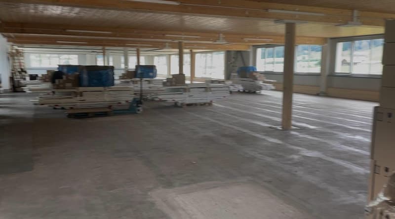 Gewerbe/Lager/Produktionsfläche (ca. 3'000 m2) in Einsiedeln (Kanton Schwyz) zu vermieten (1)