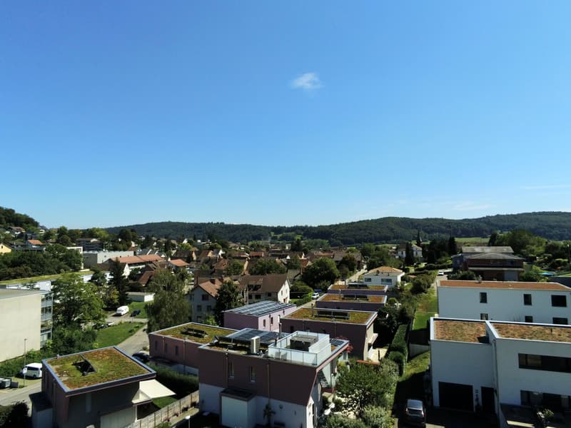 6-Zimmer-Designhaus mit Dachterrasse in Beringen kaufen (9)