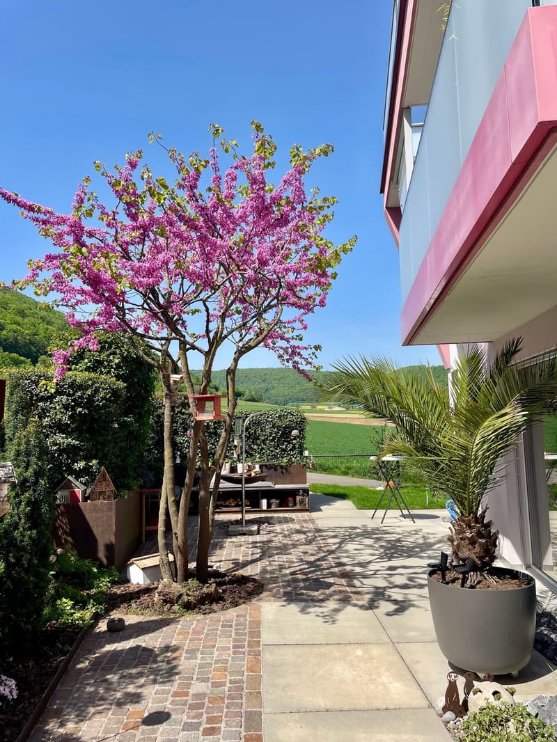 6-Zimmer-Designhaus mit Dachterrasse in Beringen kaufen (1)