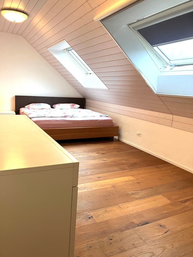 5.5-Zimmer Eckhaus mit Pool - modern wohnen in Neuwilen (10)