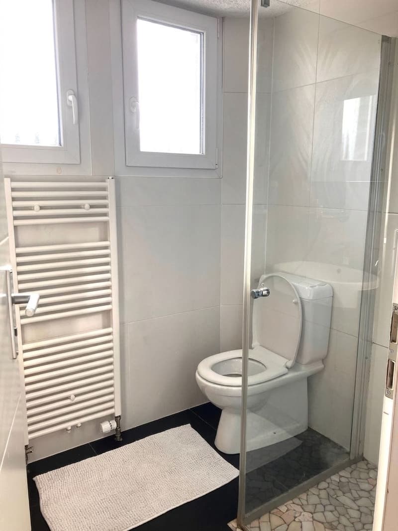 Freistehendes 9-Zimmer-Haus mit Garten - neu für CHF 975'000. (8)