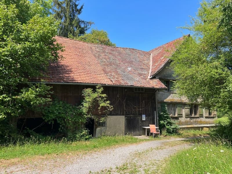 Viel Raum für Wohnen, Tiere und neue Ideen - aussergewöhnliches Anwesen in Wittenbach SG (4)