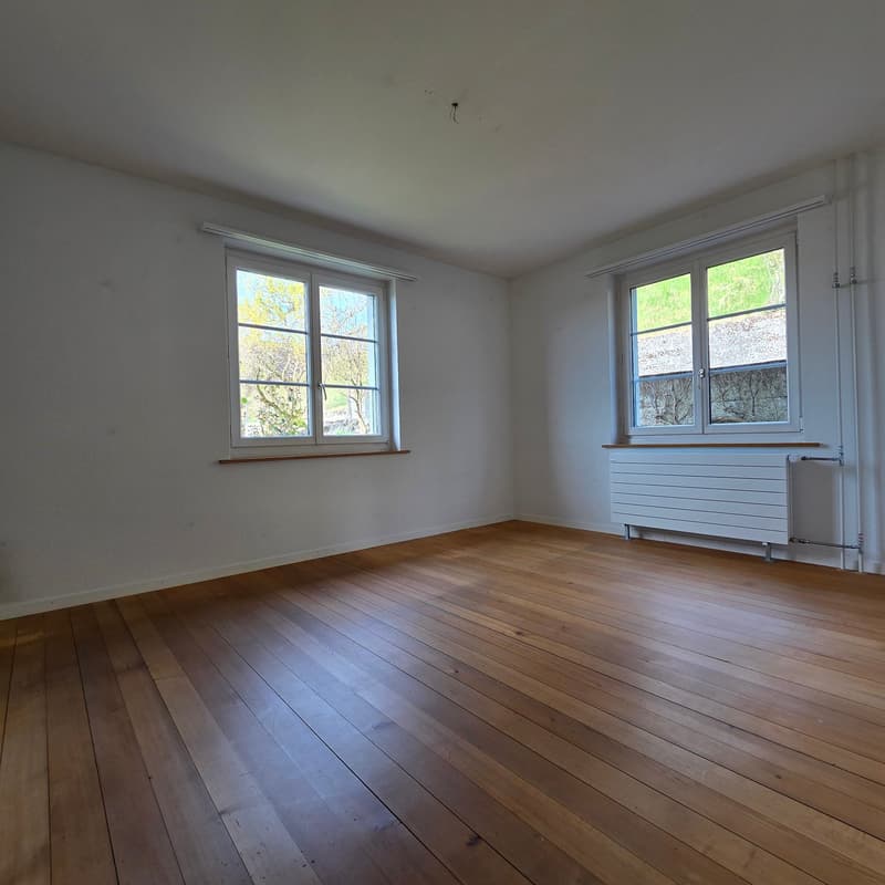 empty room, wooden floor, white walls, two windows, radiator