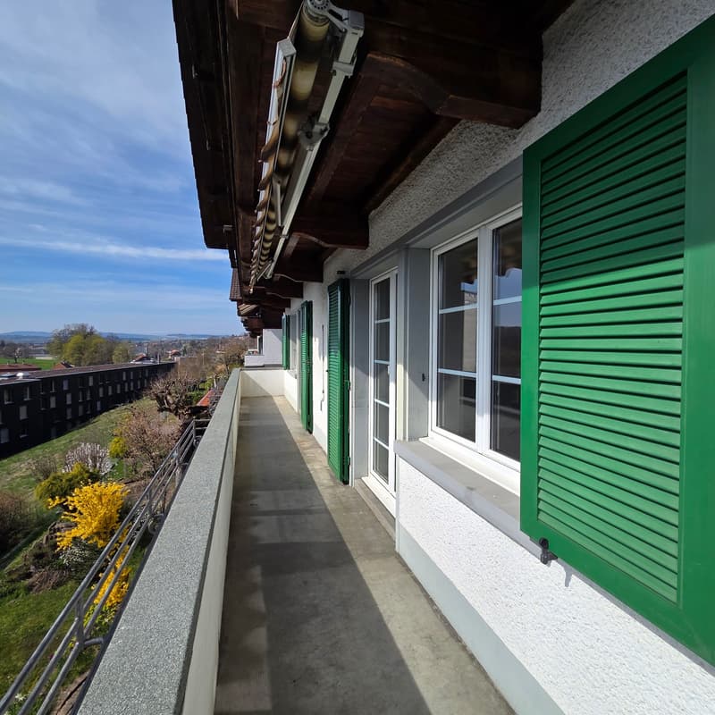 Balcony with green shutters, concrete floor, metal railing, view of the city