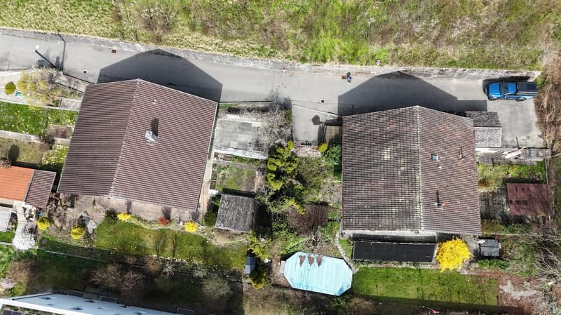 Two houses, brown roofs, driveway, blue truck, swimming pool, garden, trees, grass