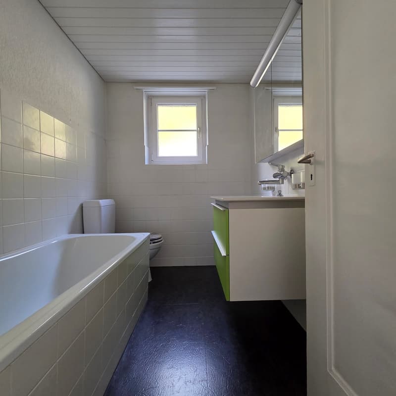 Bathroom with bathtub, toilet, sink, and green cabinet