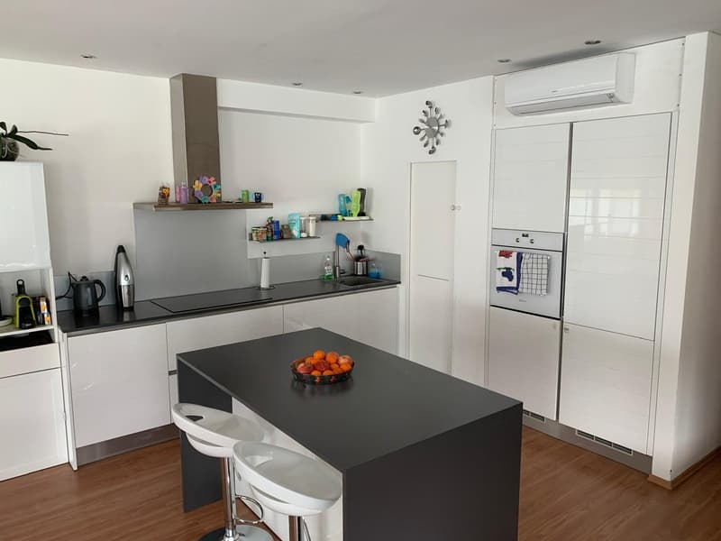 Splendido appartamento di 3.5 locali con giardino a Bellinzona (13)