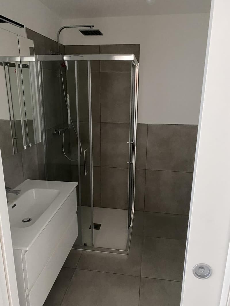 Moderno appartamento a Cevio con vista panoramica (6)