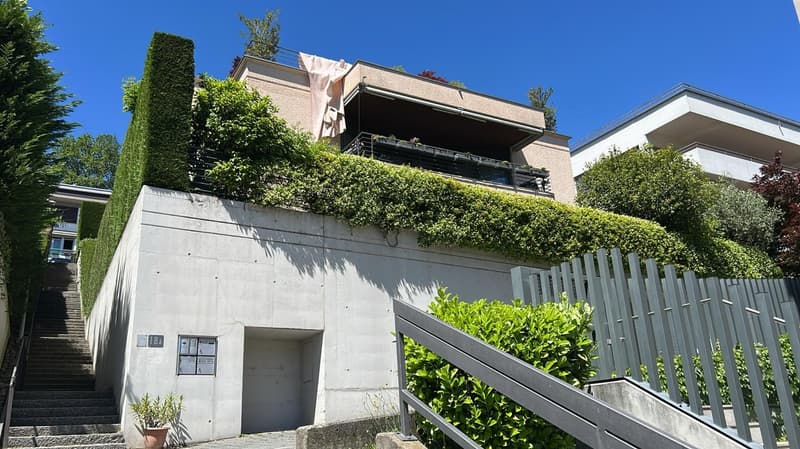 Ampio appartamento di 7 locali con giardino e vista panoramica a Lugano (3)