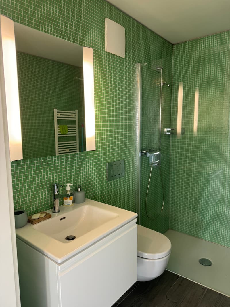 Moderno appartamento arredato con vista lago a Locarno (6)