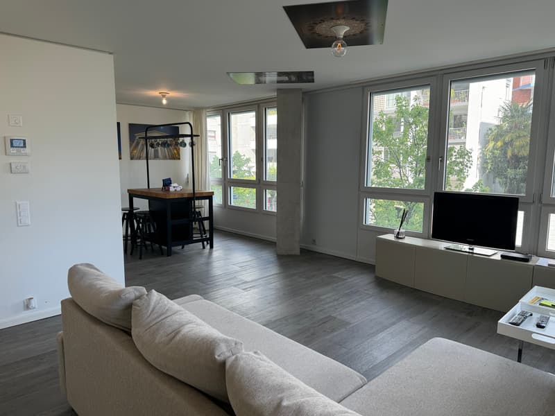Moderno appartamento arredato con vista lago a Locarno (3)
