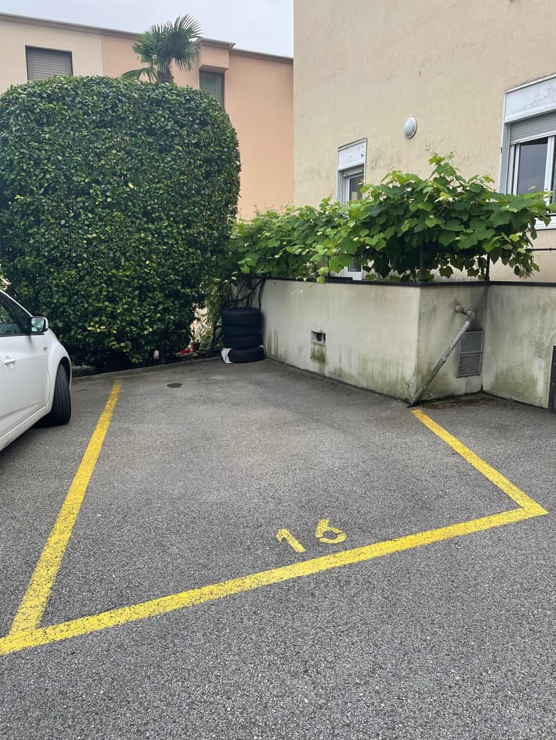 Appartamento di 4.5 locali a Brissago, vicino al lago - ottimo investimento (19)
