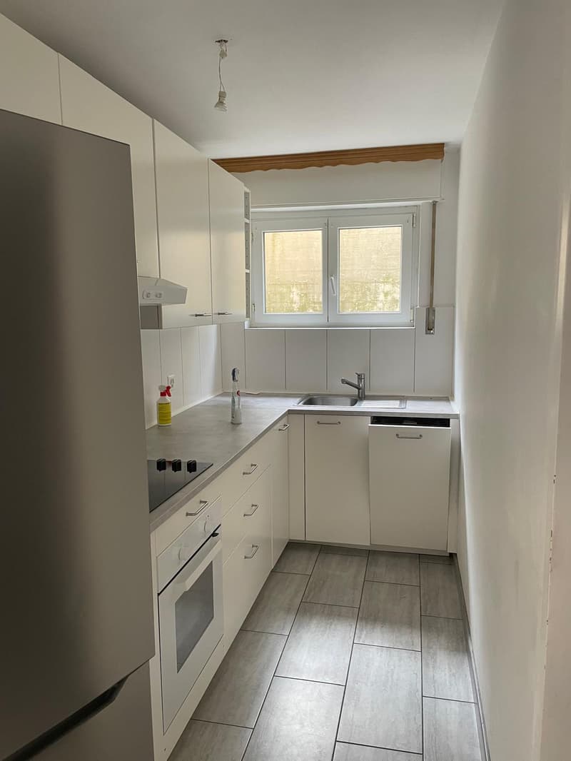 Appartamento di 4.5 locali a Brissago, vicino al lago - ottimo investimento (1)