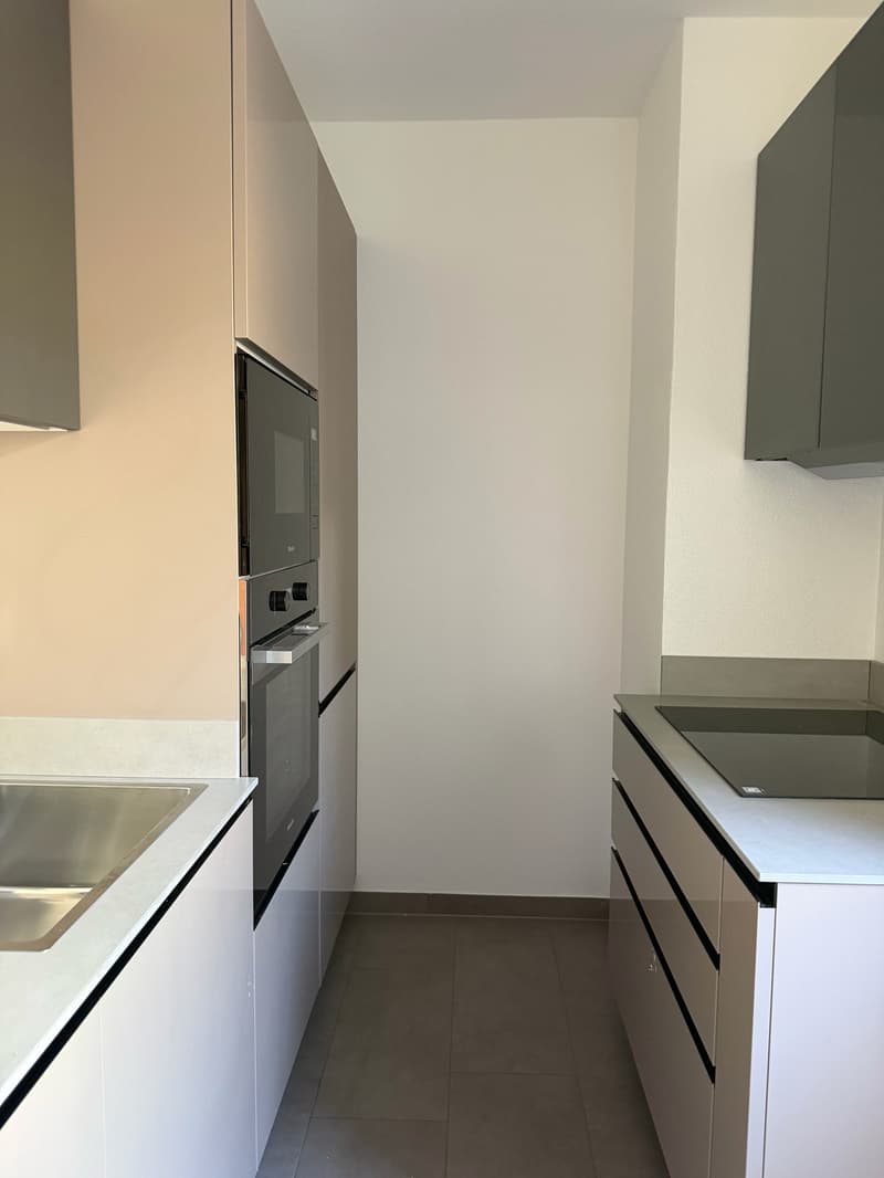 Appartamento completamente rinnovato vista lago- Brione sopra Minusio – disponibile subito (2)