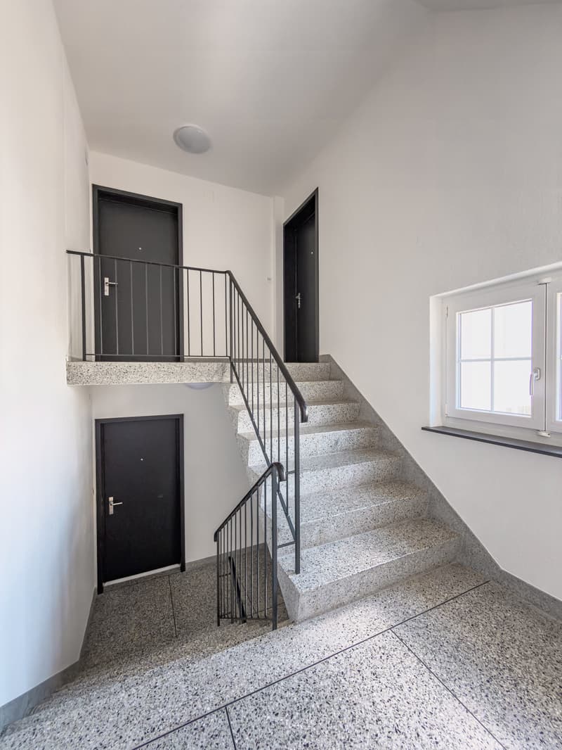 Helle komplett neu renovierte 3.5 Zimmer Maisonette im 2. OG (6)