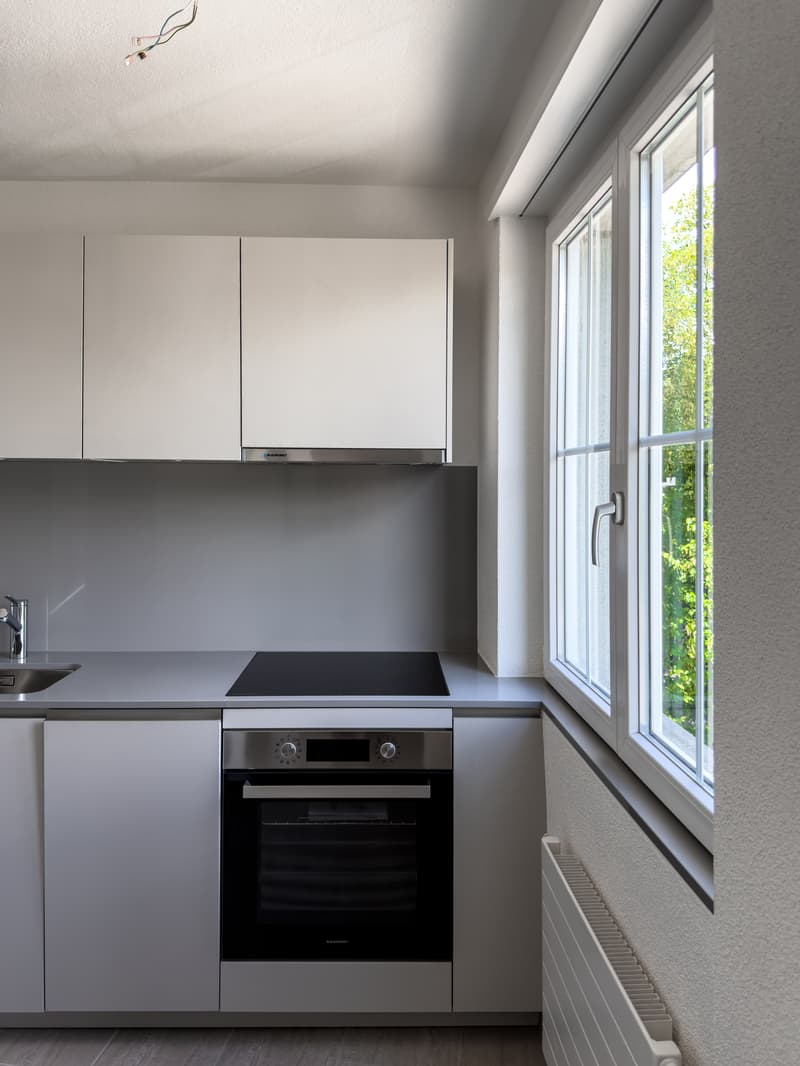 Helle komplett neu renovierte 3.5 Zimmer Maisonette im 2. OG (2)