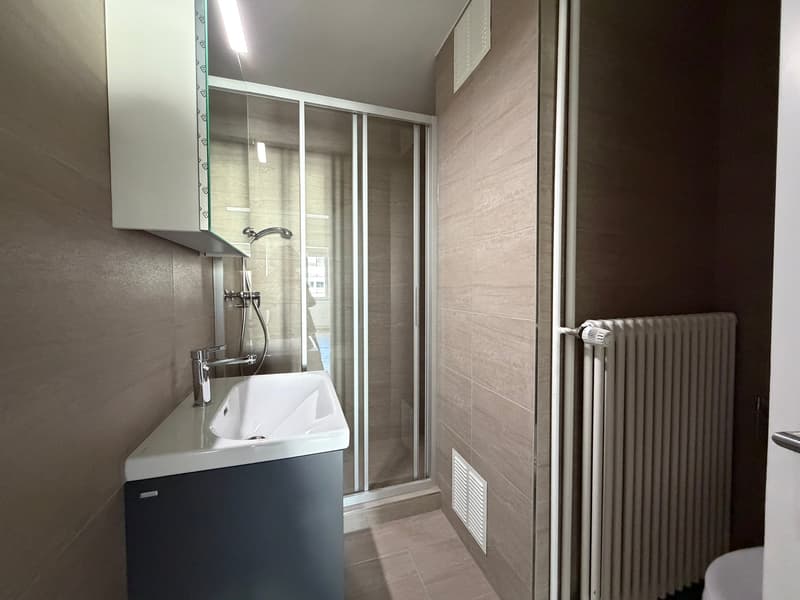 Charmante 3.5-Zimmer-Dachwohnung an der Witikonerstrasse in Zürich (4)